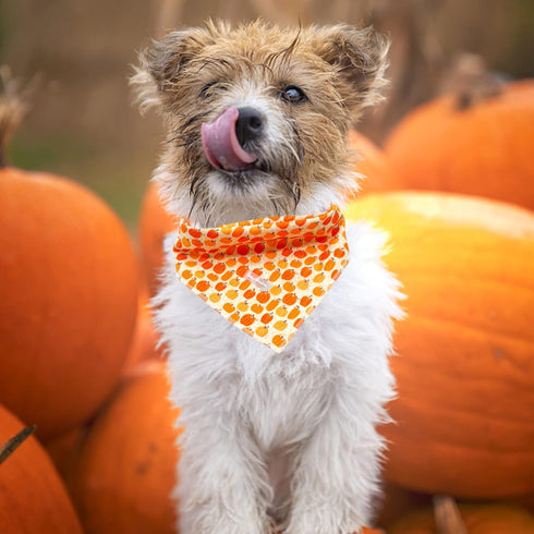 1PC Dog Bandana, Halloween Pumpkin Dog Bandanas Girl Boy Bibs Scarf Soft Dog Kerchief Pet Bandanas Small Medium Large