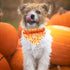 1PC Dog Bandana, Halloween Pumpkin Dog Bandanas Girl Boy Bibs Scarf Soft Dog Kerchief Pet Bandanas Small Medium Large