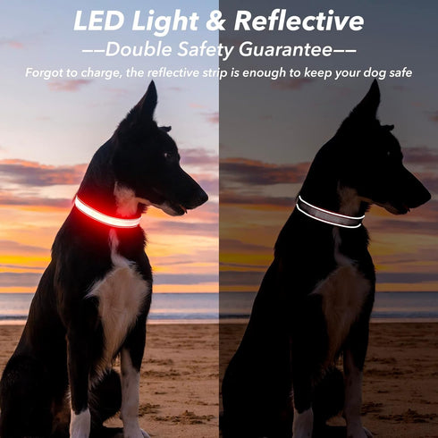 Reflective LED Light Up Dog Collar, Adjustable Rechargeable Waterproof Glow Collar for Large Medium Dogs