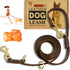 Hands Free Leather Dog Leash, 8ft Durable Genuine Leather Multi-Function Leash for Small Medium Large Breed Dogs