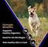 Victor Super Premium Dog Food, Select Beef Meal & Brown Rice Formula, Gluten Free, 5 lbs