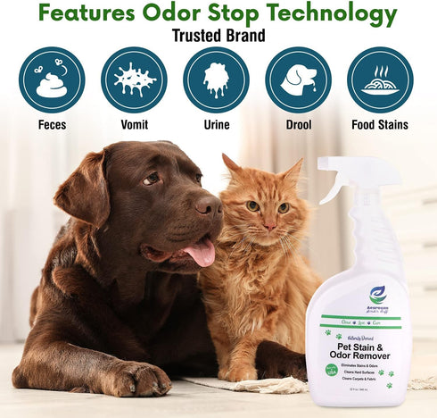 3-in-1 32 oz (1 Pack) Pet Stain and Odor Remover Spray - Formula Natural Pet Odor Spray- All-Purpose Carpet Deodorizer