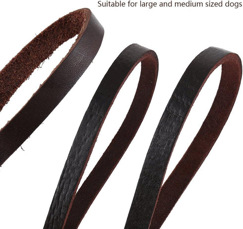 Premier Braided Leather Dog Leash 6/8/10 ft for Strong Medium Large Dogs, Heavy Duty Training Leash (10FT)