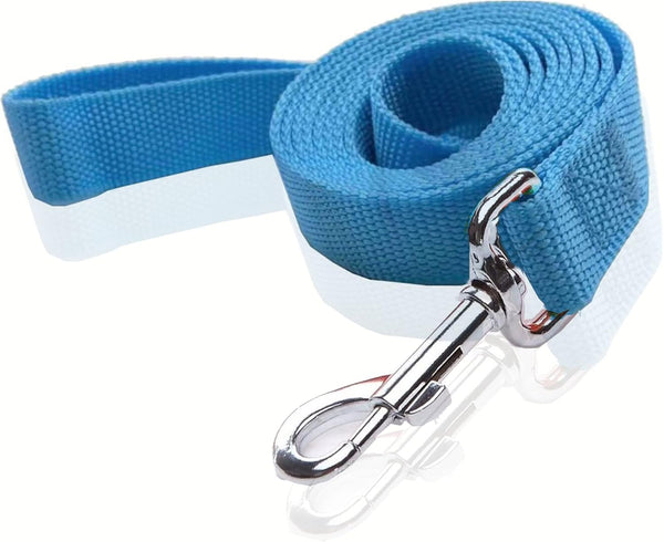 Nylon Dog Leash 4 Ft 5 Feet 6 Foot Long, 1 Inch Wide, Blue, Walking Training Leashes for Medium Large Dogs (6ft)