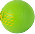 JW Squeak-ee Ball Puppy Toy - Durable Fun