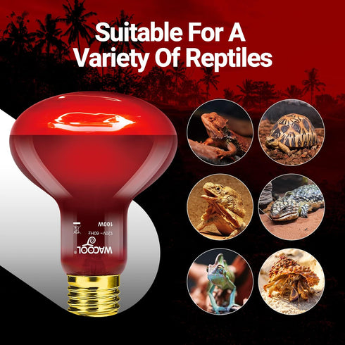 4 Pack Bulbs,100W Bulb (75, WACOOL Reptile Heat Lamp Infrared Basking Spot Light for Reptiles & Amphibians, Red Heat