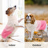 ASENKU Warm Dog Sweater for Small Medium Dogs - Thick Pullover Turtleneck Sweater for Fall Winter Clothing