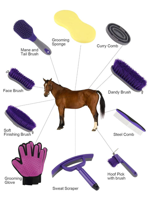 (12-Piece): Horse Grooming Kit Brushes, Storage Bag, Sweat Scraper, Mane Comb, Grooming Gloves - Purple Horse Gifts