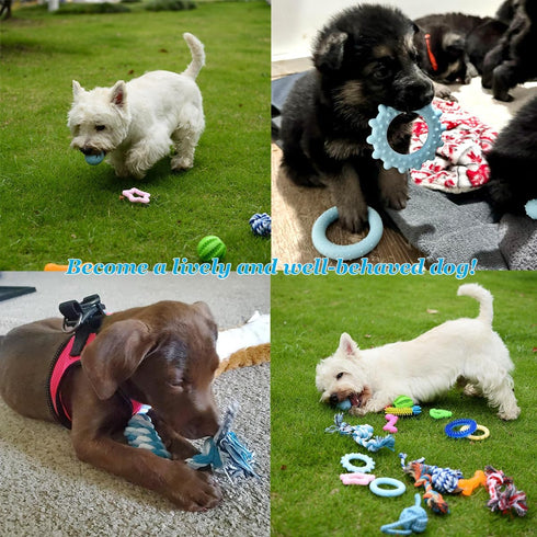 Puppy Toys Set 20 Pack - Interactive Chew Toys for Teething Small Breeds, Tough Rope & Soft Rubber Bundle