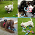 Puppy Toys Set 20 Pack - Interactive Chew Toys for Teething Small Breeds, Tough Rope & Soft Rubber Bundle