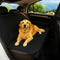 Dog Car Seat Cover for Back Seat - Waterproof and Scratchproof Back
