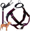 2 Hounds Design Freedom No Pull Dog Harness, Adjustable Harness & Leash Set, Fits Small to Large Dogs, Burgundy