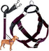 2 Hounds Design Freedom No Pull Dog Harness, Adjustable Harness & Leash Set, Fits Small to Large Dogs, Burgundy