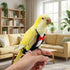 HekouJiub Bird Diaper Harness Flight Suits, Cockatiel Diaper Cute Parrot Pants Urine Wet for Cockatiel Conure Macaw