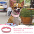 2 Pieces PU Leather Dog Collar Pink Rhinestone Flower Pattern Studded Adjustable Bling Puppy Collar (XS: 8.2-10.6 Inch)