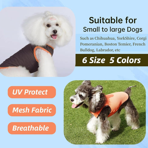 2 Pack Quick Dry Dog Shirt, Lightweight Mesh Breathable Clothes for Medium Dogs, Sports Fan Pet T-Shirts
