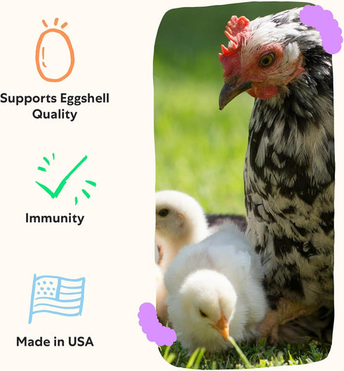(30 Grubbly Farms Vitamins + Electrolytes Water Supplement for Chickens Day)