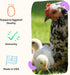 (30 Grubbly Farms Vitamins + Electrolytes Water Supplement for Chickens Day)