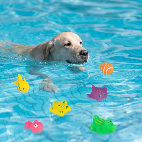 Dwuww 6 Swimming Pcs Pool Cat Interactive, Cat Floating Water, Pool, Pet Kitten Bathing Fish,Interactive for Indoor