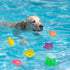 Dwuww 6 Swimming Pcs Pool Cat Interactive, Cat Floating Water, Pool, Pet Kitten Bathing Fish,Interactive for Indoor