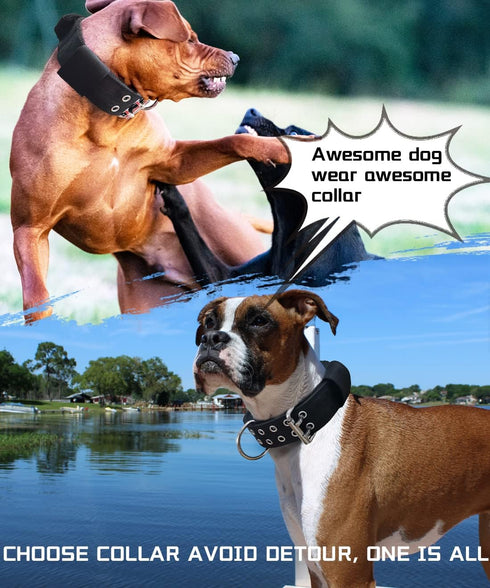 Large Dog Collar, Black Heavy Duty for Giant Breed Dogs, 2 inch Wide with Handle, Strong Nylon and Stainless Hardware