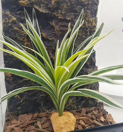 Reptile Terrarium Decor - Bearded Dragon Tank Accessories, Spider Plants for Crested Gecko, Leopard Lizard, Chameleon