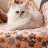 1 Pack 3 Blankets, Super Soft Fluffy Premium Fleece Pet Blanket, Medium (30x20 inch, Brown/Pink/White)
