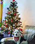 Dog Christmas Bandanas Plaid Reversible Triangle Bibs Scarf Accessories for Dogs and Cats