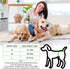 100 Count, Dog Diapers Male Disposable Super Absorbent, Male Dog Wraps Leak Proof, Ultra Dry & Breathable, Large