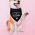 Yishuliwu 2025 Promoted to Big Brother Black Pet Dog Bandanas Triangle Scarf Bandanas Bibs Birthday Party Props Gender
