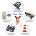 2 KADTC Dog Puzzle Toy, Large Size, Levels of Challenge, Paw-Activated Rolling Treat Dispenser, Slow Feeder & Mental