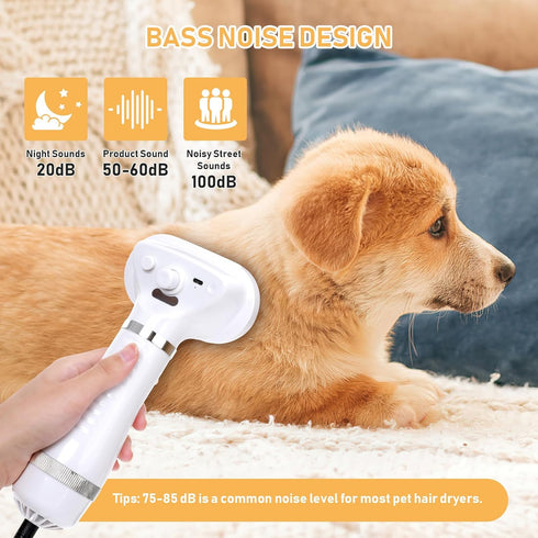 Pet Hair Dryer and Spray Cat Brush, 4 in 1 Steam Comb & Dog Blow Dryer with Water Tank, 3 Heat Settings