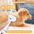 Pet Hair Dryer and Spray Cat Brush, 4 in 1 Steam Comb & Dog Blow Dryer with Water Tank, 3 Heat Settings