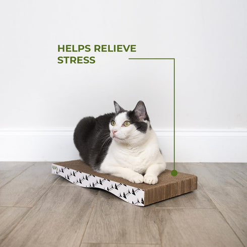 Best Pet Supplies Cat Scratcher, Wave Shaped Reversible Cardboard, Durable, Claw Safe, Natural Recycled Materials, Pack