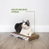 Best Pet Supplies Cat Scratcher, Wave Shaped Reversible Cardboard, Durable, Claw Safe, Natural Recycled Materials, Pack