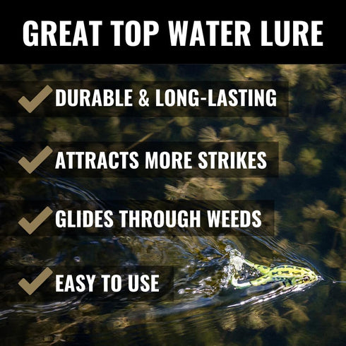 LUNKERHUNT Frog Bait for Bass Fishing, Soft Hollow Body Weedless Frog Lure with Sharp Hooks