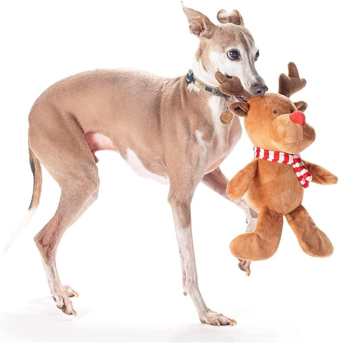 Midlee Christmas Reindeer Plush Dog Toy with Scarf, Squeaky Holiday Pet Gift