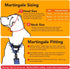 If It Barks 1.5" Reflective Martingale Collar - Adjustable, Durable, Comfy - Made in USA - Ideal for Training - Large,