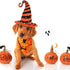 8 Pieces Halloween Dog Bandanas, Adjustable Pet Scarf for Halloween Holiday Costume, Spider Style