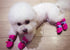 GabeFish Adjustable Drawstring Anti Slip Dog Socks Shoes, Boot Paw Protectors for Small Medium Pets Cats, Pink Large