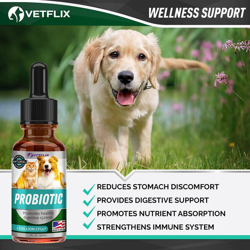 Premium Probiotics for Dogs, Cats - Digestive Enzymes & Prebiotics Supplement, 2 Fl Oz for Digestive Health