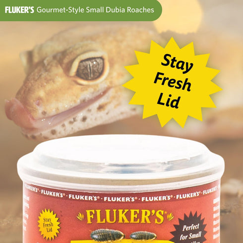 Fluker's Gourmet Canned Food for Reptiles, Fish, Birds, Small Animals, Dubia Roaches, 1.2 oz