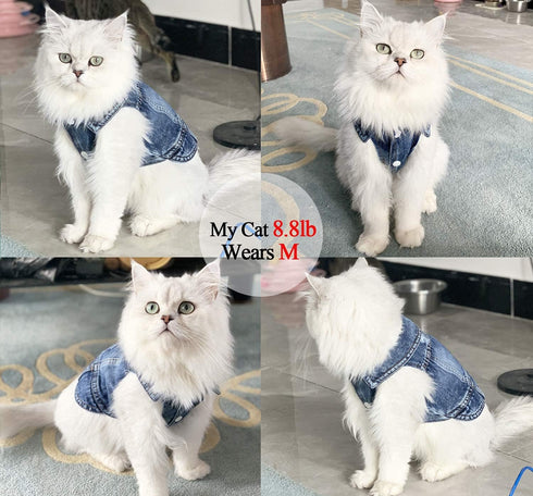Dog Jean Jacket, Blue Denim Lapel Vest Coat Costume for Small Medium Dogs and Cats (L)