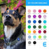 Blueberry Pet Essentials Small Dog Collar in Royal Blue | Adjustable & Eco-Friendly Durable Nylon Strap