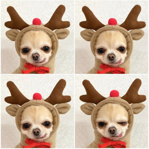 Warm Dog Winter Clothes Cute Fruit Dog Coat Hoodies Fleece Pet Dogs Costume Jacket for French Bulldog Chihuahua Ropa para Perro(Coffee,L)