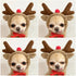 Warm Dog Winter Clothes Cute Fruit Dog Coat Hoodies Fleece Pet Dogs Costume Jacket for French Bulldog Chihuahua Ropa para Perro(Coffee,L)