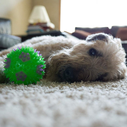 Gnawsome 3.5” Squeak & Light Soccer Ball Dog Toy, Medium Size, Cleans Teeth and Promotes Dental Health