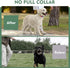 Martingale Collar for Dog, No Pull Walking Training Collar, Adjustable Tactical with Heavy Duty Metal Buckle