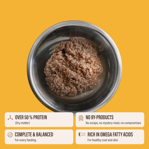 Pack 4 3oz (Pack 24) Chewer's Joy Wet Dog Food Small Breed Variety High-Protein, Natural Pate Canned Food for Adult