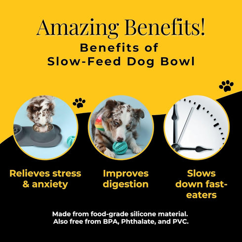 Slow Feeder Dog Bowls, No-Spill Non-Skid Silicone Mat, Stainless Steel Water Bowl for Dogs, Canine Karma